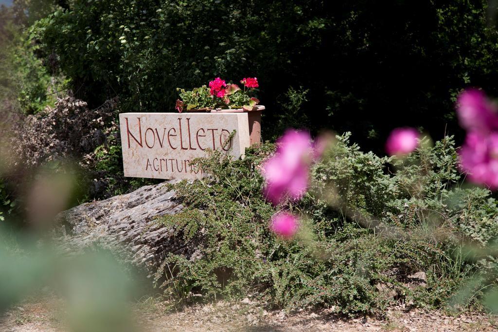 Novelleto Villa Monteriggioni Buitenkant foto