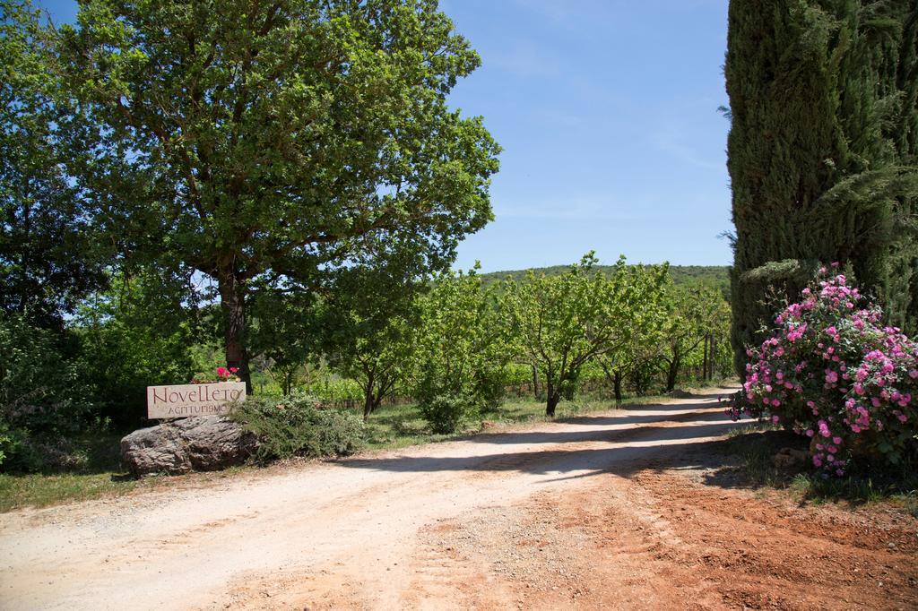 Novelleto Villa Monteriggioni Buitenkant foto